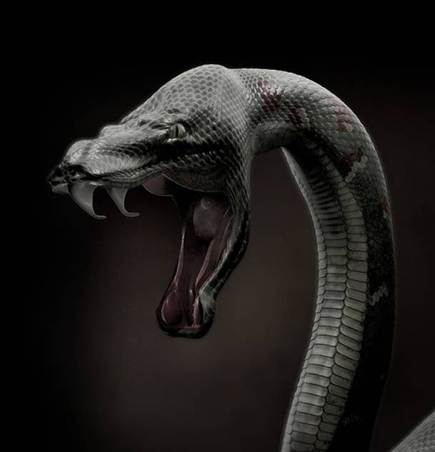 black mamba plush