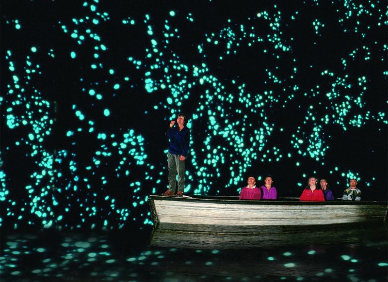 Glowworm Cave - Waitomo, New Zealand