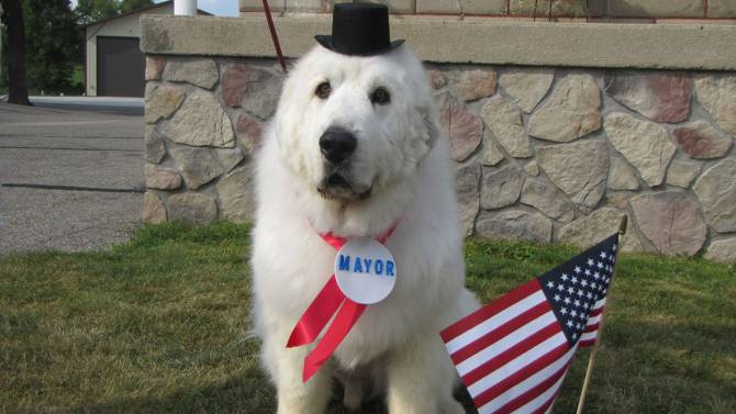 Mayor Duke