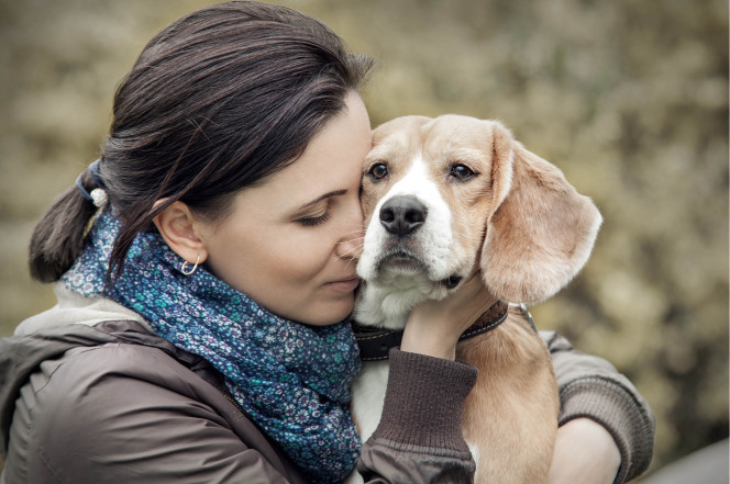 Most Dogs Dont Love Being Hugged