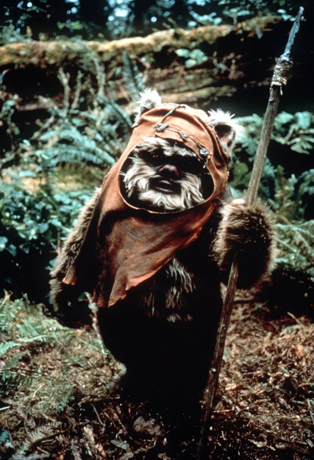 Ewok