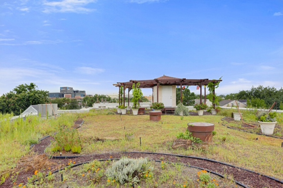 Rooftop Garden