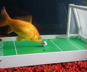 Myths About Animals That Are False And Some That Are True | HorizonTimes