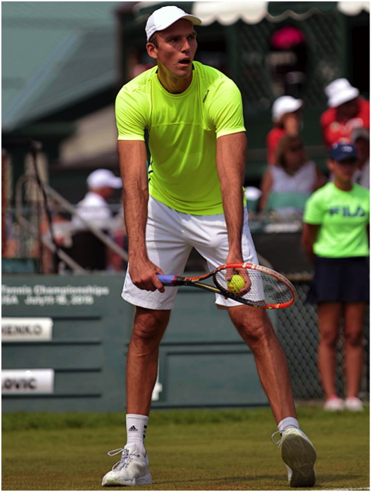 Ivo Karlovic Professional Tennis Player