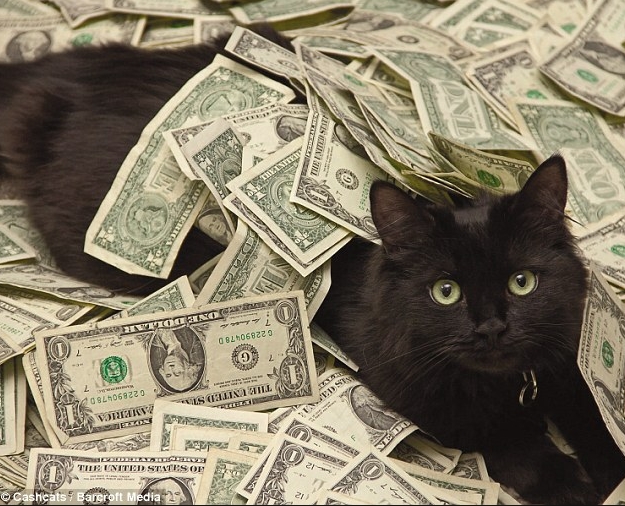 Wealthiest Cat