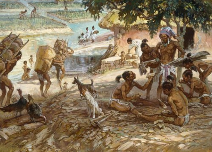 Первобытная страна. Майя индейцы древней Америки. Земледелие индейцев Южной Америки. Хозяйство индейцев доколумбовой Америки. Древние племена.