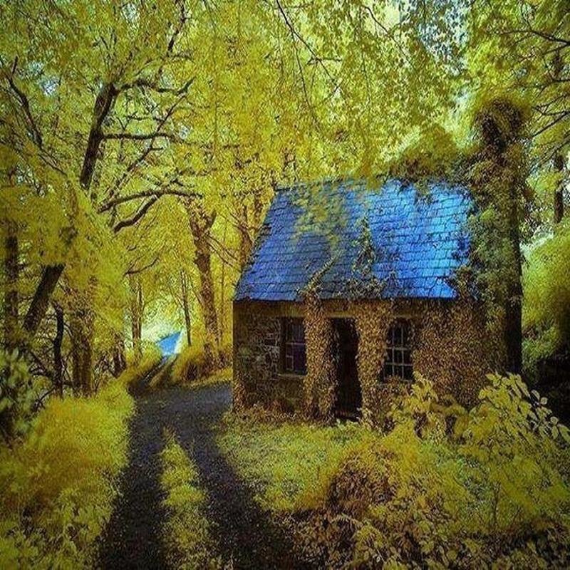 Cottage In Stradbally Ireland