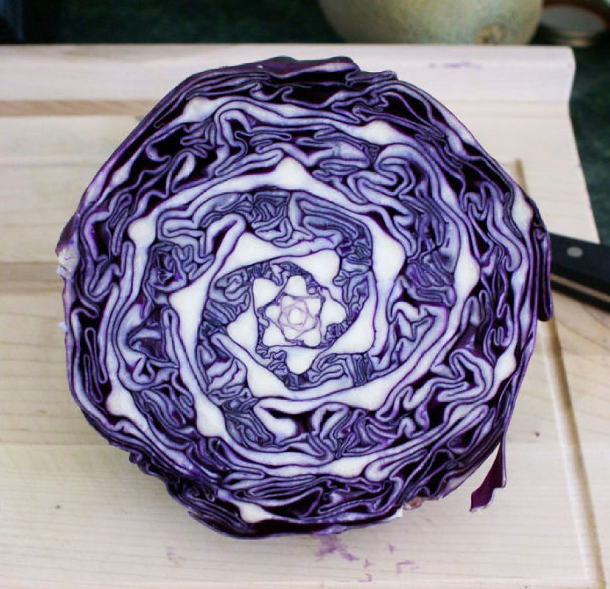 Cabbage Art