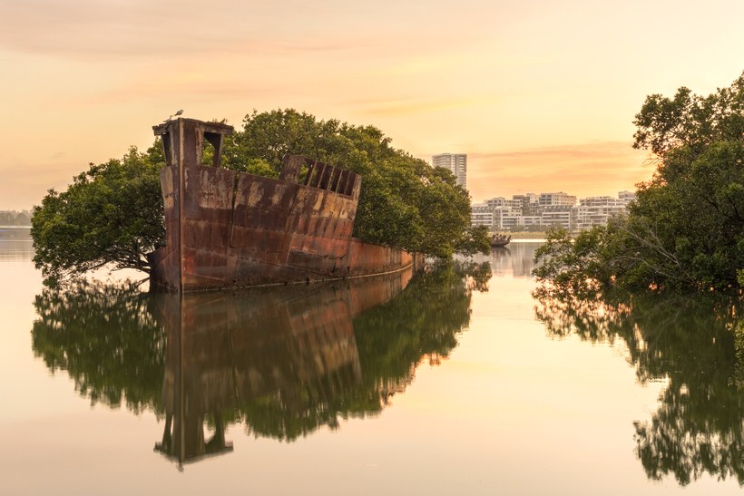 SS Ayrfield Shipwreck, Sydney, Australia