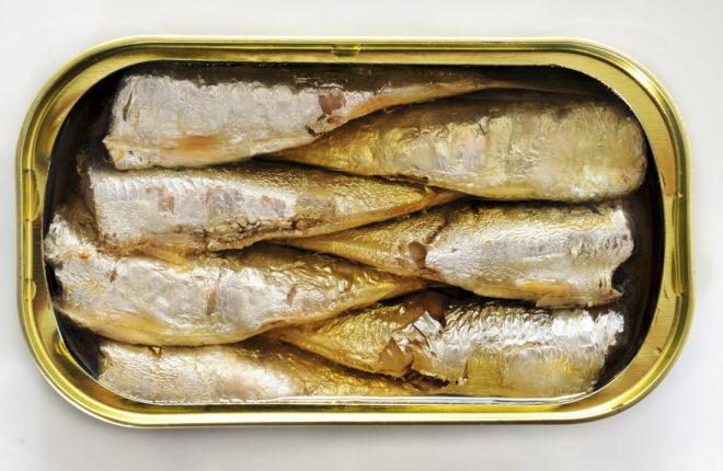 Sardines