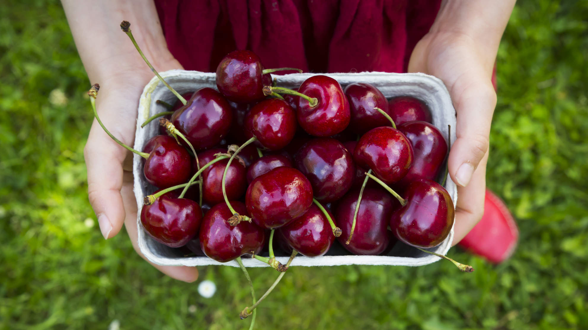 Cherries