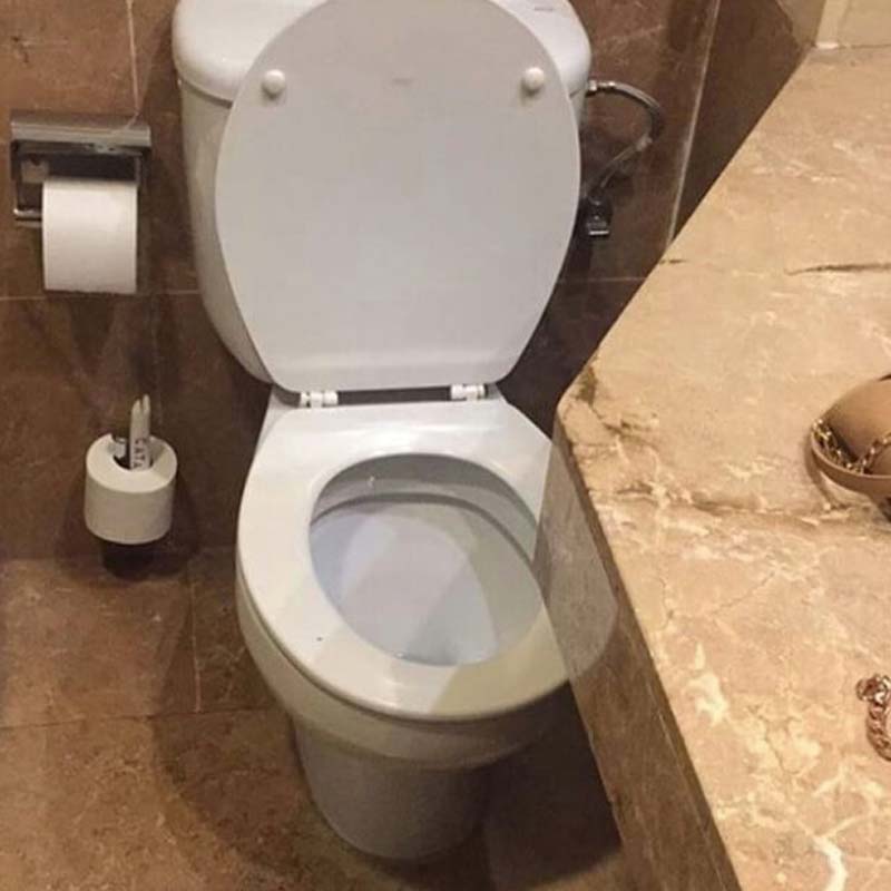 Using This Toilet Would Require Some Flexibility