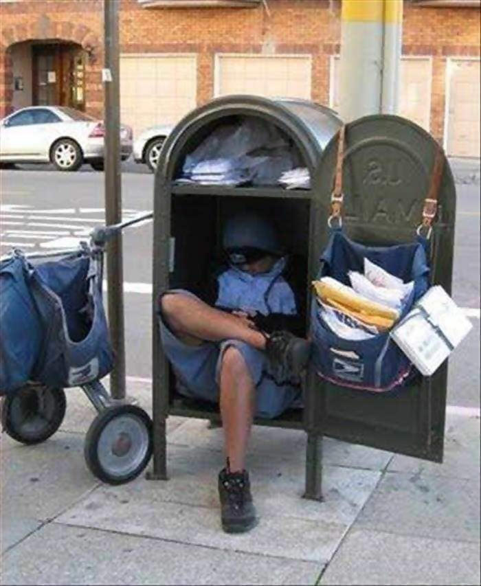 Man Asleep In Mailbox