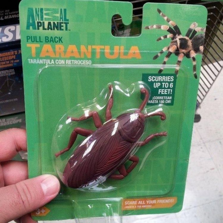 Fake Bug In A Package