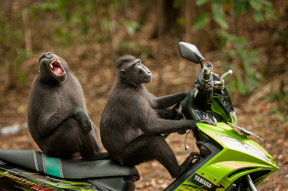 Cool Biker Dude