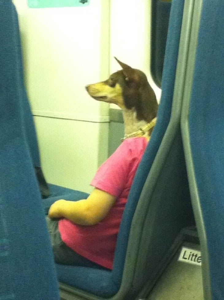 The Dog On The Train