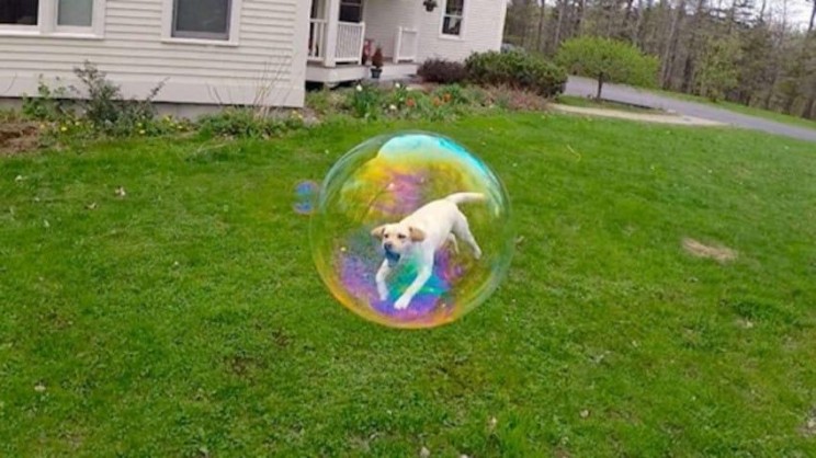 Bubble Boy