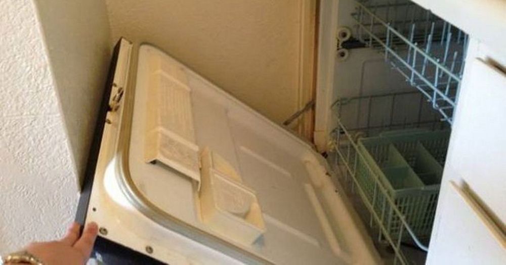 You Could Probably Still Use This Dishwasher