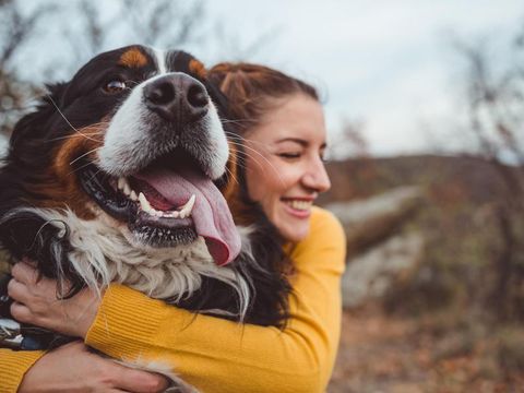 Saint Bernard