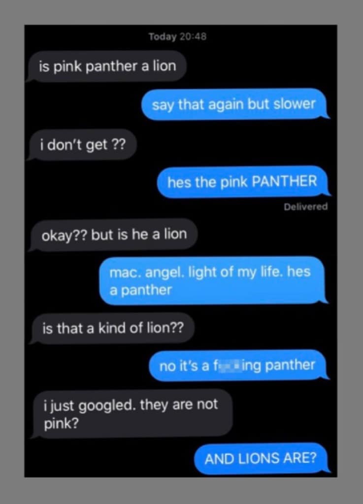 Lions & Panthers