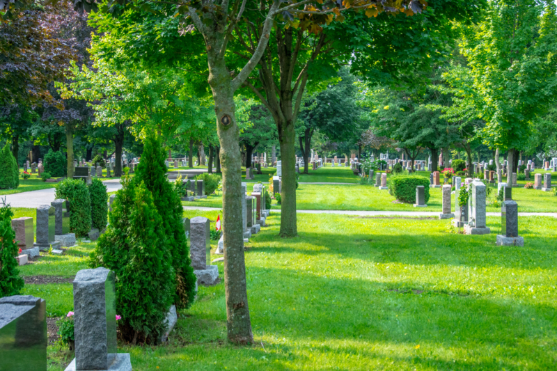 A,Beautiful,Graveyard,Marked,With,Rows,Of,Headstones,And,Lined