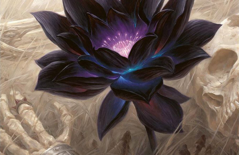 Magic The Gathering Card From Black Lotus