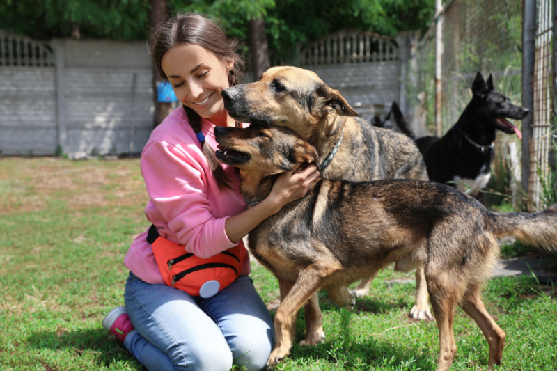 Helping Puppies